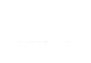 basware-customer-logo-billerud